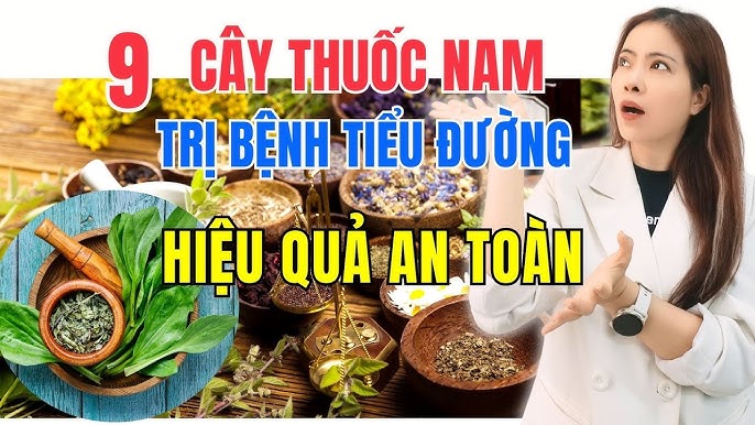 Hiệu quả và Độ an toàn khi sử dụng thuốc: Hướng dẫn toàn diện