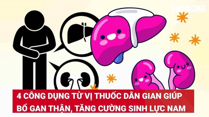 Dùng Thuốc Lao Uống Thuốc Bổ Gan Gì Tốt Nhất: Hướng Dẫn Chi Tiết