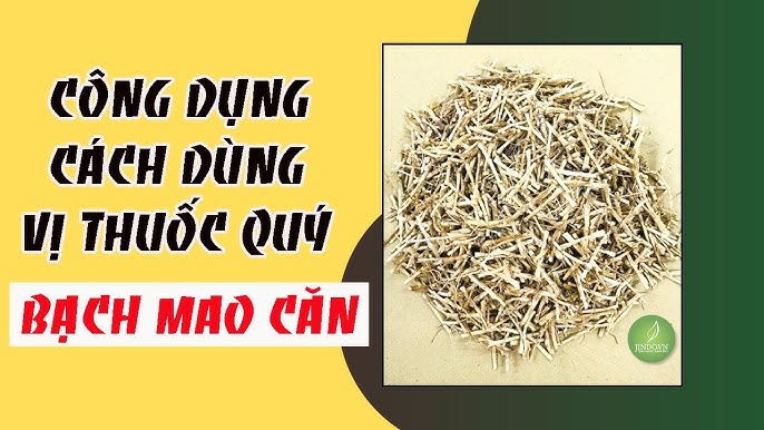Chanh Mao: Đặc Điểm, Công Dụng Và Cách Sử Dụng Trong Chăm Sóc Sức Khỏe