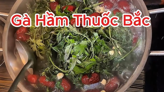 Bộ sưu tập các vị thuốc bắc đa dạng, từ thảo mộc đến rễ cây