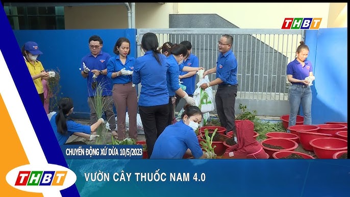Khôi Phục Vườn Thuốc Nam Dựa Vào Cộng Đồng Hiệu Quả