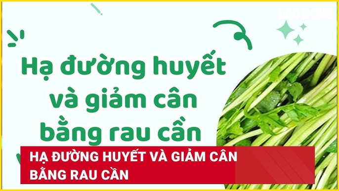 Các Loại Rau Giúp Hạ Đường Huyết Hiệu Quả và An Toàn