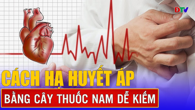 Cây Thuốc Nam Chữa Cao Huyết Áp Hiệu Quả và An Toàn