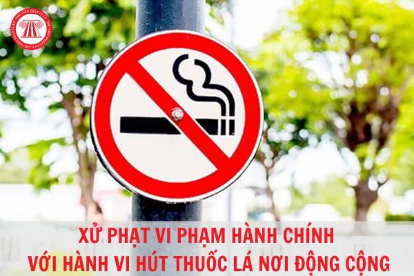 Tại Sao Không Nên Hút Thuốc Lá Ở Nơi Công Cộng