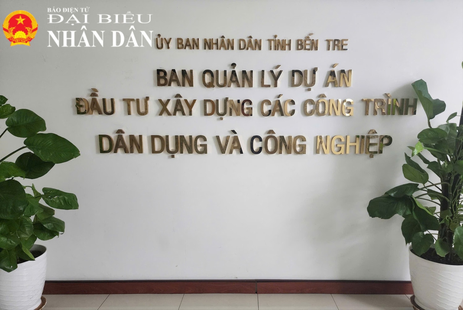 Kết quả trúng thầu thuốc năm 2016 của Bến Tre: Toàn cảnh và Phân tích