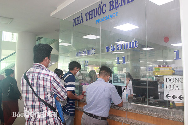 Phân Tích Kết Quả Trúng Thầu Vị Thuốc Y Học Cổ Truyền và Tác Động
