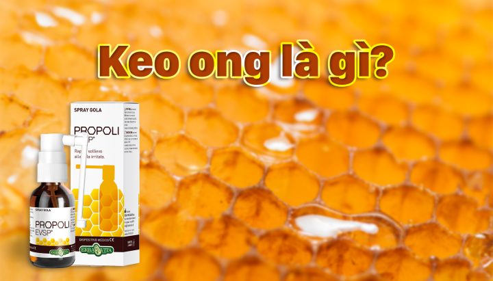 Bài Thuốc Đơn Giản Hiệu Quả Từ Thiên Nhiên: Hướng Dẫn Toàn Diện