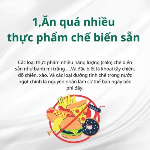 Giảm Mỡ Bụng Tại Nhà Không Dùng Thuốc Hiệu Quả và An Toàn