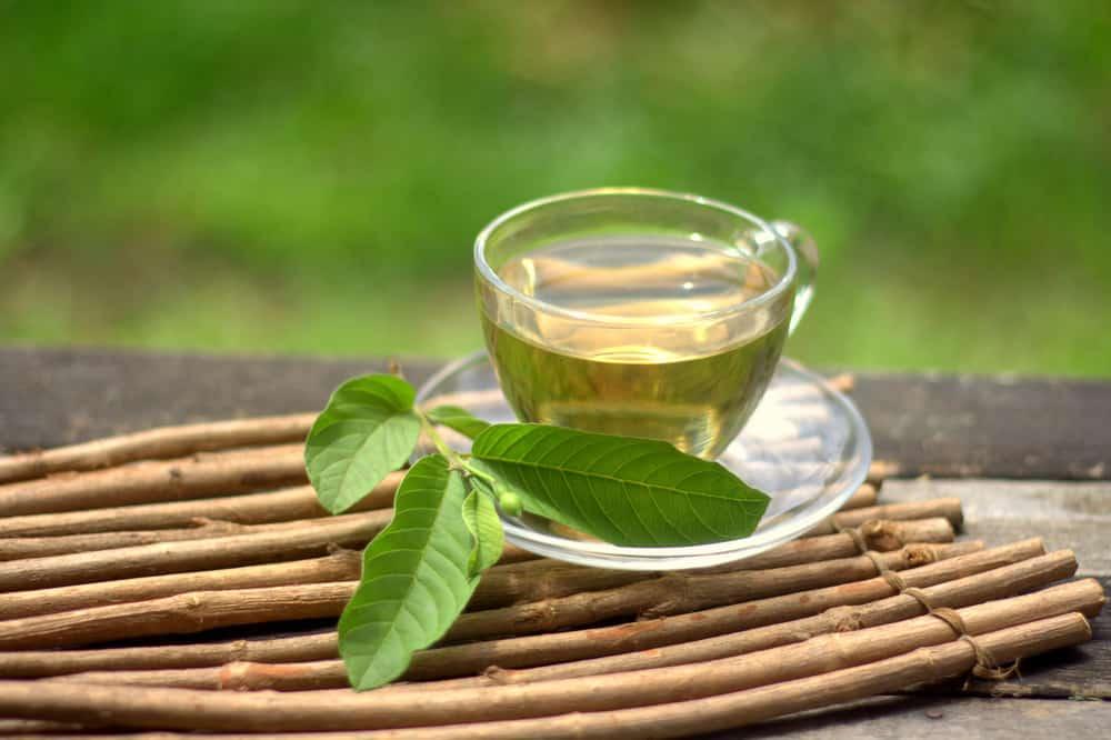 Lá Ổi Trị Tiểu Đường: Sự Thật Khoa Học và Hướng Dẫn Sử Dụng Lá Ổi Trị Tiểu Đường: Sự Thật Khoa Học và Hướng Dẫn Sử Dụng