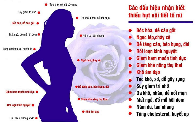 Rối loạn nội tiết tố nữ nên uống thuốc gì để cân bằng hiệu quả