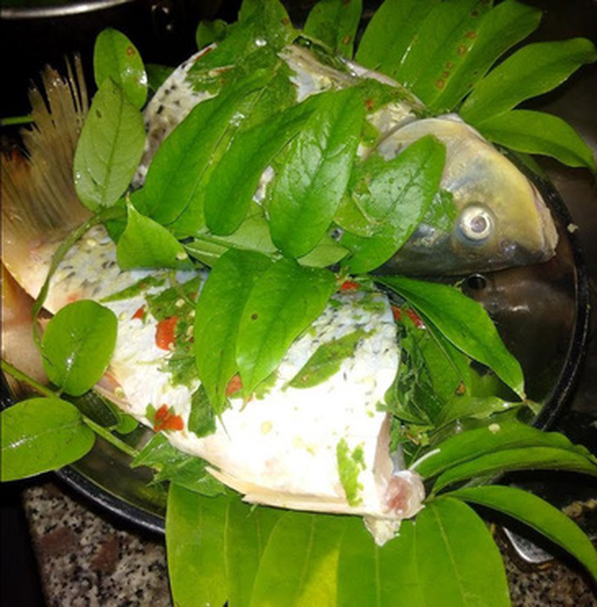 Lá Sấu Nấu Canh Chua: Công Thức Chuẩn Và Lợi Ích Sức Khỏe Toàn Diện Lá Sấu Nấu Canh Chua: Công Thức Chuẩn Và Lợi Ích Sức Khỏe Toàn Diện