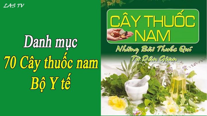 Danh Mục Cây Thuốc Nam Được Bộ Y Tế Công Nhận & Ứng Dụng