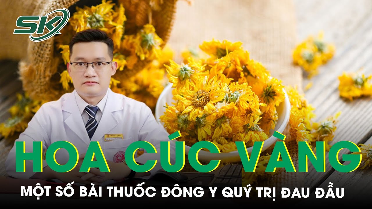 Thuốc viên Đông y trị đau đầu khi hành kinh hiệu quả an toàn