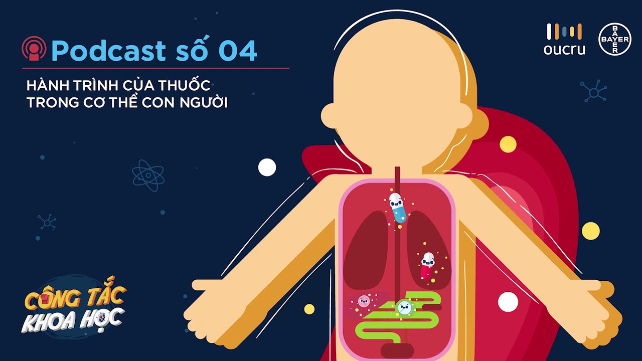 Hiểu Rõ Vì Sao Thuốc Không Lưu Lại Mãi Trong Cơ Thể Người