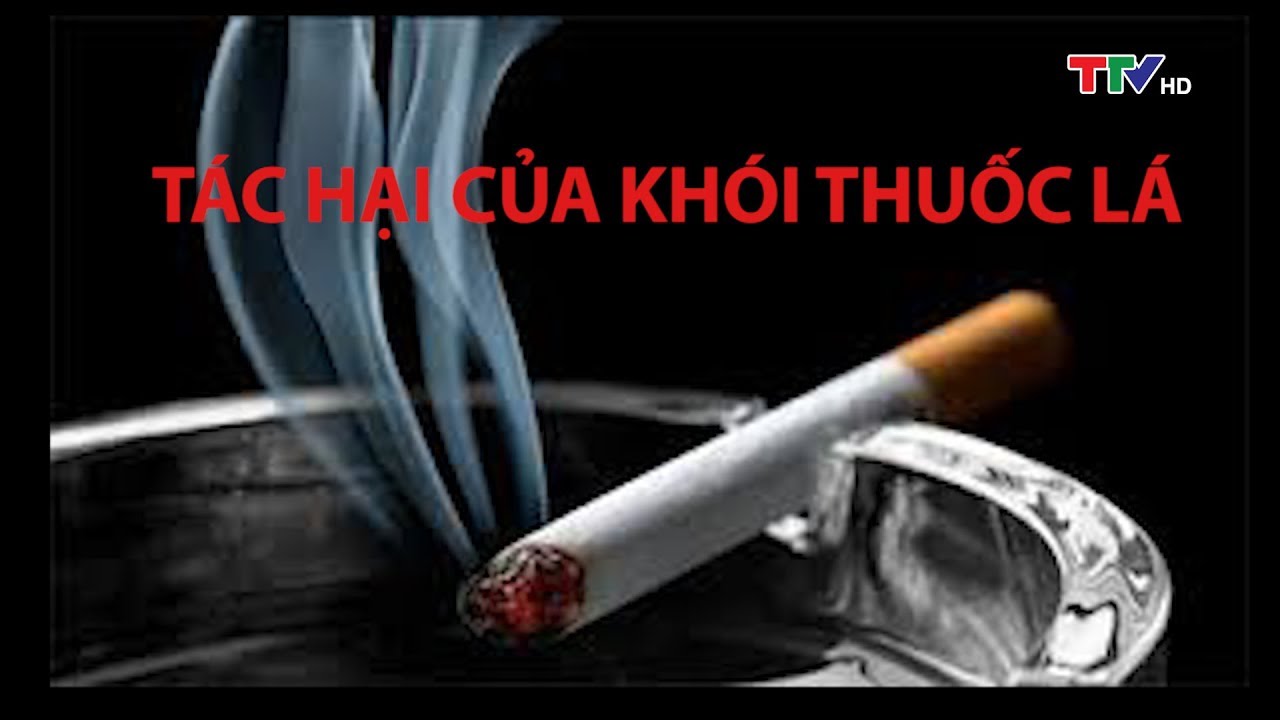 Hút Thuốc Lá Có Hại Sức Khỏe Như Thế Nào: Hiểu Rõ Tác Động Toàn Diện