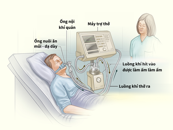 Máy Trợ Thở: Hướng Dẫn Toàn Diện Từ A Đến Z
