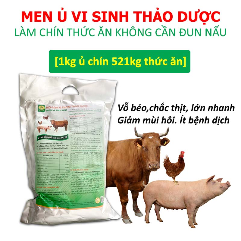 Các Thức Ăn Ảnh Hưởng Đến Thuốc Chống Đông Máu: Hướng Dẫn Chi Tiết Các Thức Ăn Ảnh Hưởng Đến Thuốc Chống Đông Máu: Hướng Dẫn Chi Tiết