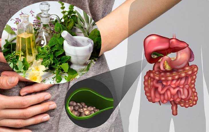 Bài Thuốc Đông Y Chữa Sỏi Mật của Lương Y Nguyễn Đức Kiệt: Giải Pháp Toàn Diện
