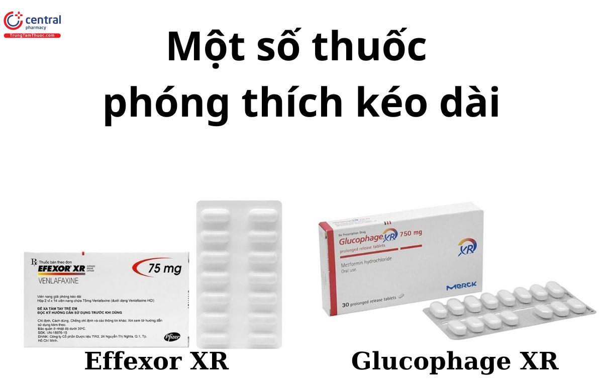 Tìm Hiểu Đặc Trưng Thuốc Dạng Phóng Thích Kéo Dài Toàn Diện