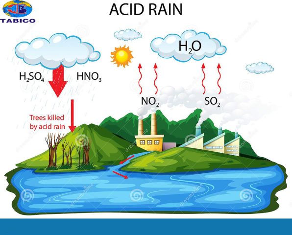 Mưa Axit Là Gì? Nguyên Nhân, Tác Hại Và Giải Pháp Hạn Chế
