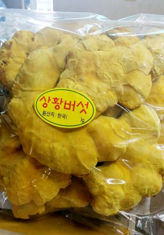 Nấm Thượng Hoàng: Công Dụng Vượt Trội và Hướng Dẫn Sử Dụng Hiệu Quả