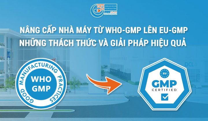 Quy Trình Bộ Y Tế Cấp Phép WHO-GMP Cho Thuốc Nhập Khẩu Chi Tiết