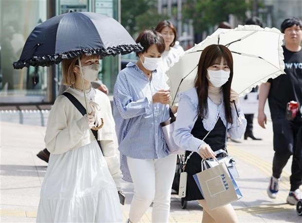 Nhiệt Kế Đo Tai Nhật Bản: Lựa Chọn Tối Ưu Cho Gia Đình Việt