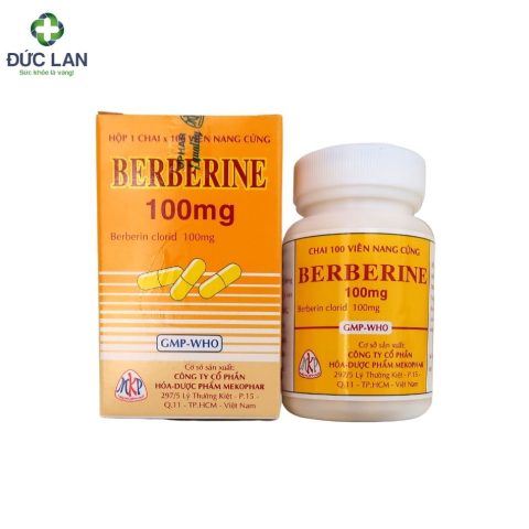 Berberine 100mg Mekophar chính hãng tại nhà thuốc