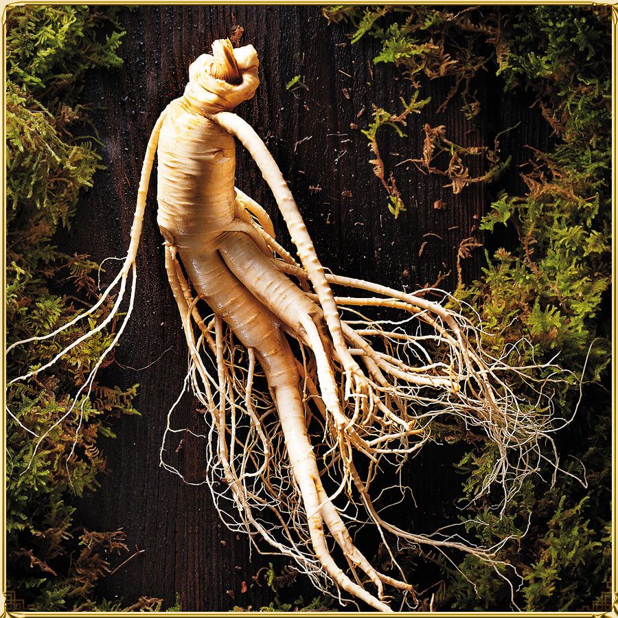 Korean Ginseng: Toàn Diện Công Dụng và Cách Dùng