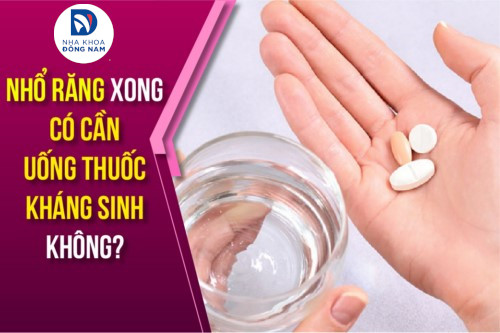 Nhổ Răng Uống Thuốc Gì Để Vết Thương Mau Lành An Toàn