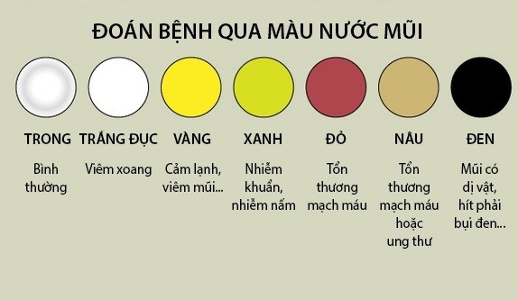 Trẻ Bị Chảy Mũi Xanh Lâu Ngày: Hướng Dẫn Chăm Sóc và Thuốc Điều Trị