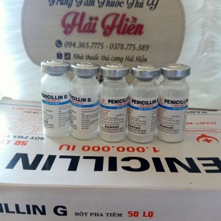 Penicillin 1.000.000 IU: Công Dụng, Liều Dùng và Lưu Ý Quan Trọng