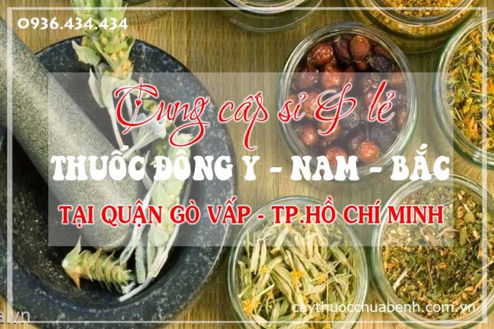 Kho thuốc Đông y đa dạng các vị thuốc Bắc và Nam phục vụ nhu cầu sỉ lẻ tại khu vực Gò Vấp