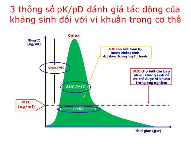 Hình ảnh về quy trình quản lý sử dụng kháng sinh, nhấn mạnh tầm quan trọng của việc tối ưu hóa liều lượng và giám sát nồng độ thuốc