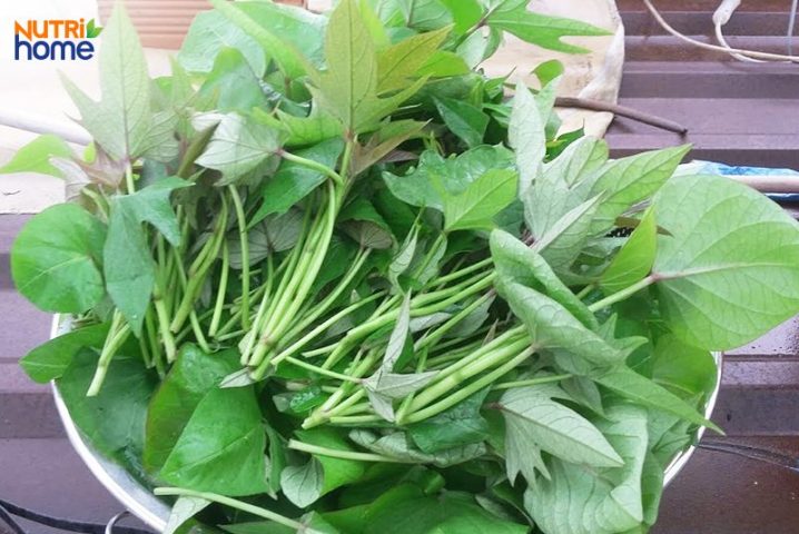 Những Loại Rau Người Tiểu Đường Nên Tránh Tuyệt Đối