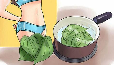 Bài Thuốc Dân Gian Chữa Viêm Nhiễm Phụ Khoa An Toàn Hiệu Quả