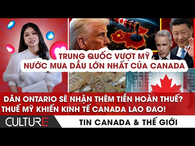 Tremlan Là Loại Thuốc Gì? Giải Mã Tên Gọi Và Lưu Ý Y Tế Quan Trọng