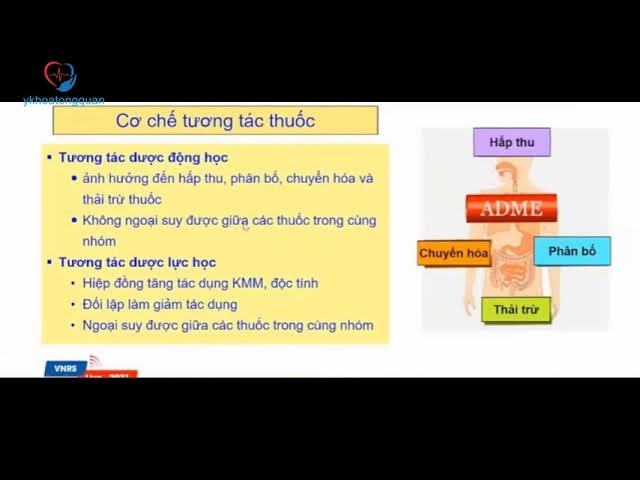 Hình ảnh một bác sĩ đang tư vấn cho bệnh nhân về thuốc và các lưu ý