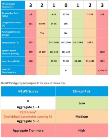 Thành phần thuốc trong Ribavirin, Lopinavir/Ritonavir và Interferon Beta-1b Thành phần thuốc trong Ribavirin, Lopinavir/Ritonavir và Interferon Beta-1b