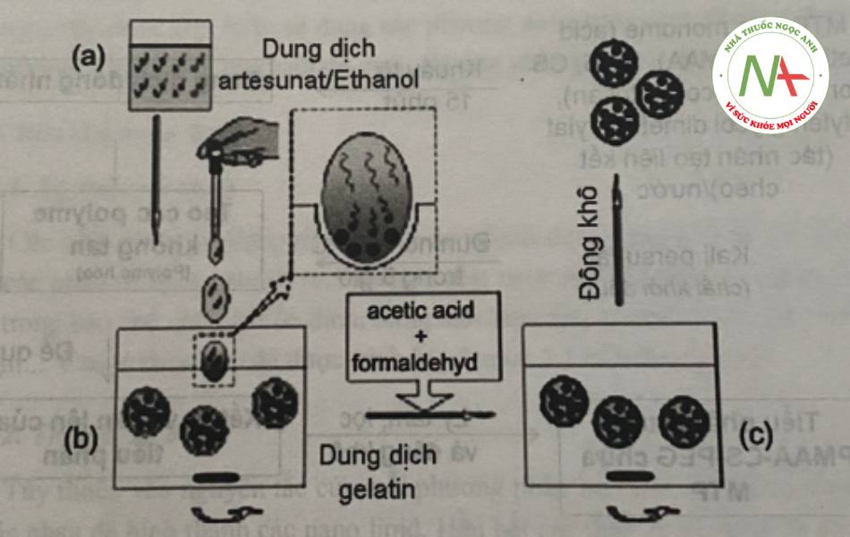 Các Nhóm Tá Dược Trong Bào Chế Dung Dịch Thuốc: Hướng Dẫn Toàn Diện