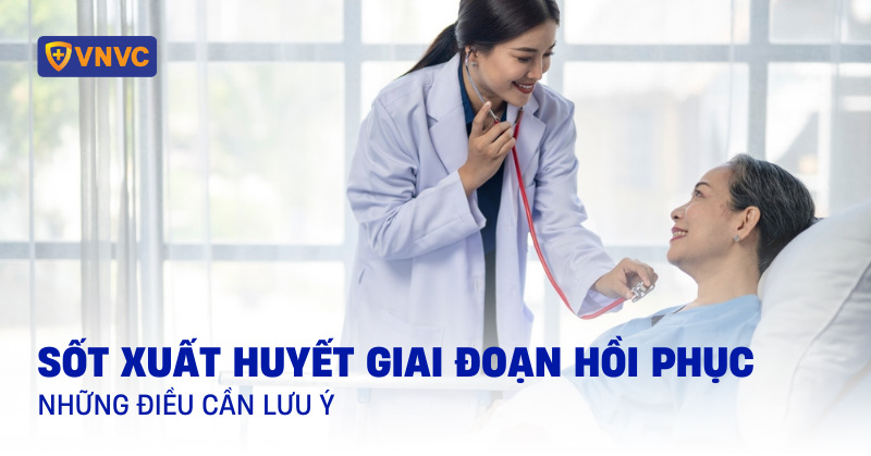 Hồi Phục Sau Sốt Xuất Huyết: Sau Khi Sốt Xuất Huyết Nên Uống Thuốc Bổ Gì Để Nhanh Khỏe?
