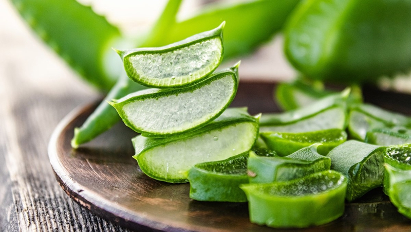 Cây thuốc nam chữa suy giãn tĩnh mạch: Giải pháp tự nhiên hiệu quả