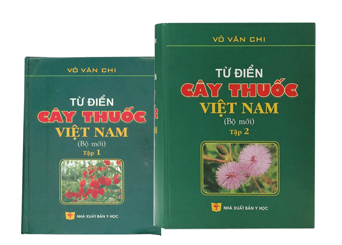 tve-4u Võ Văn Chi Từ Điển Cây Thuốc Việt Nam: Giá Trị Y Học Và Ứng Dụng