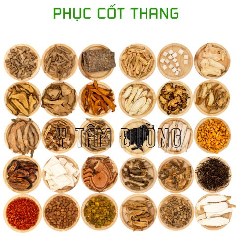 Thuốc Ngâm Rượu Trị Đau Lưng: Khám Phá Bài Thuốc Đông Y Hiệu Quả Thuốc Ngâm Rượu Trị Đau Lưng: Khám Phá Bài Thuốc Đông Y Hiệu Quả