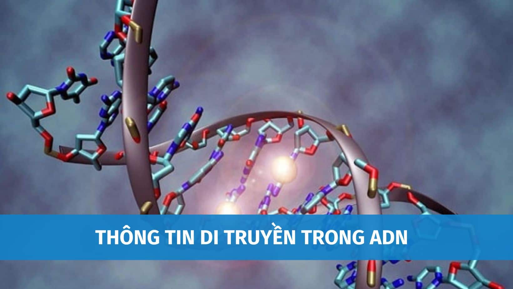 Test Genedia: Hiểu Rõ Về Khám Phá Mã Di Truyền Cá Nhân