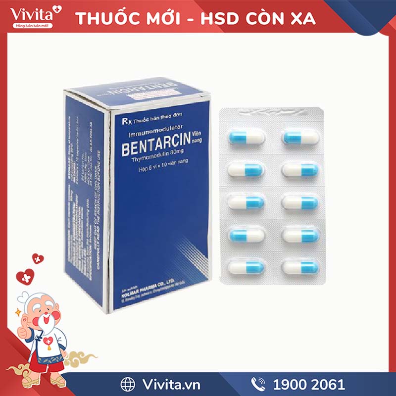 Các thuốc kích thích miễn dịch nguồn gốc tổng hợp: Tổng quan chi tiết