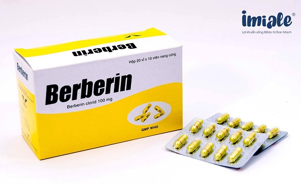Giải Đáp: Thuốc Becrin Có Dùng Cho Phụ Nữ Có Thai Hay Không