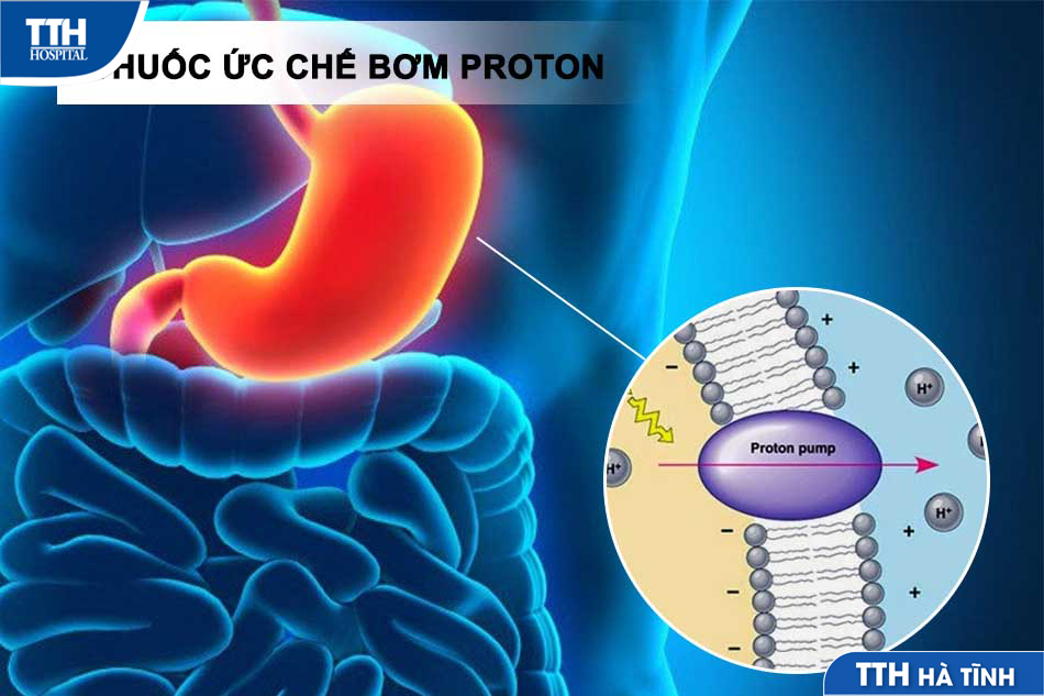Dùng thuốc ức chế bơm proton kéo dài làm tăng nguy cơ sức khỏe