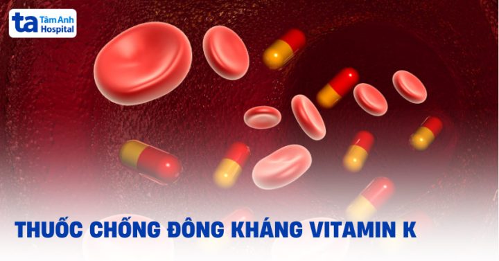 Cơ Chế Hoạt Động Của Thuốc Kháng Vitamin K Trong Đông Máu Cơ Chế Hoạt Động Của Thuốc Kháng Vitamin K Trong Đông Máu