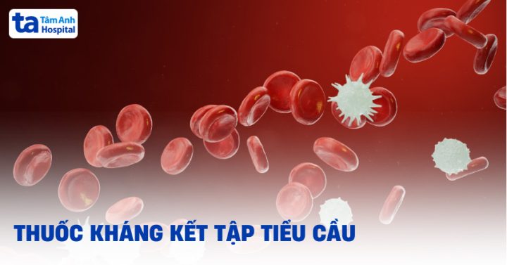 Thuốc Chống Kết Tập Tiểu Cầu Và Thuốc Kháng Đông: Phân Tích Chuyên Sâu